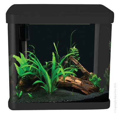 Aqua One Lifestyle 21 Complete Aquarium 21 Litre