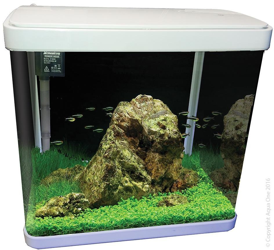 Aqua One Lifestyle 29 Complete Aquarium 29 Litre - Woonona Petfood & Produce