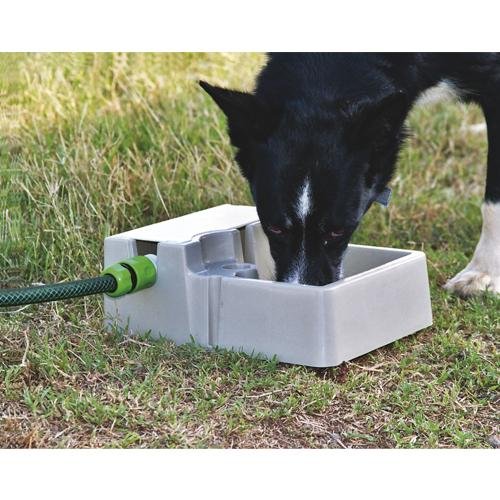 Automatic Pet Waterer Bainbridge - Woonona Petfood & Produce