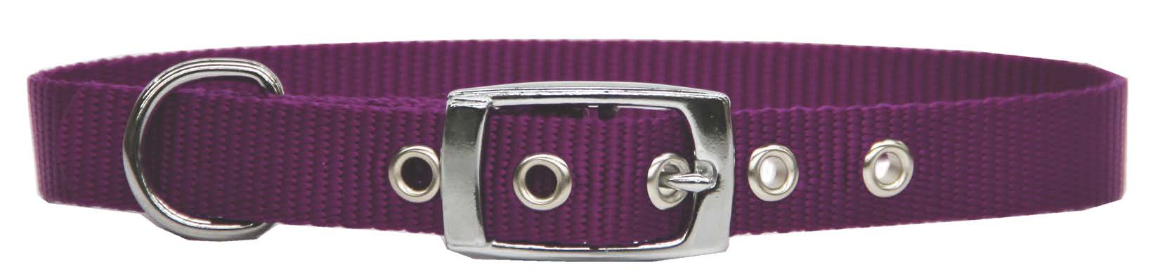 Beau Pets Collar Single Layer Purple - Woonona Petfood & Produce