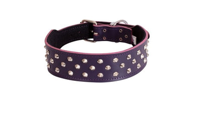Beau Pets Collar Staffy Stud Black