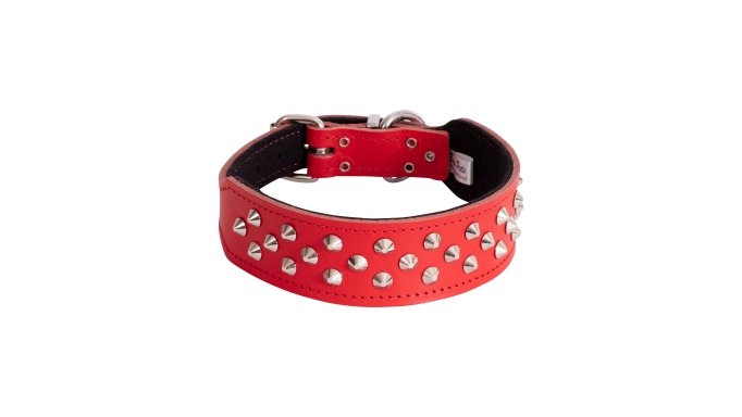 Beau Pets Collar Staffy Stud Red - Woonona Petfood & Produce