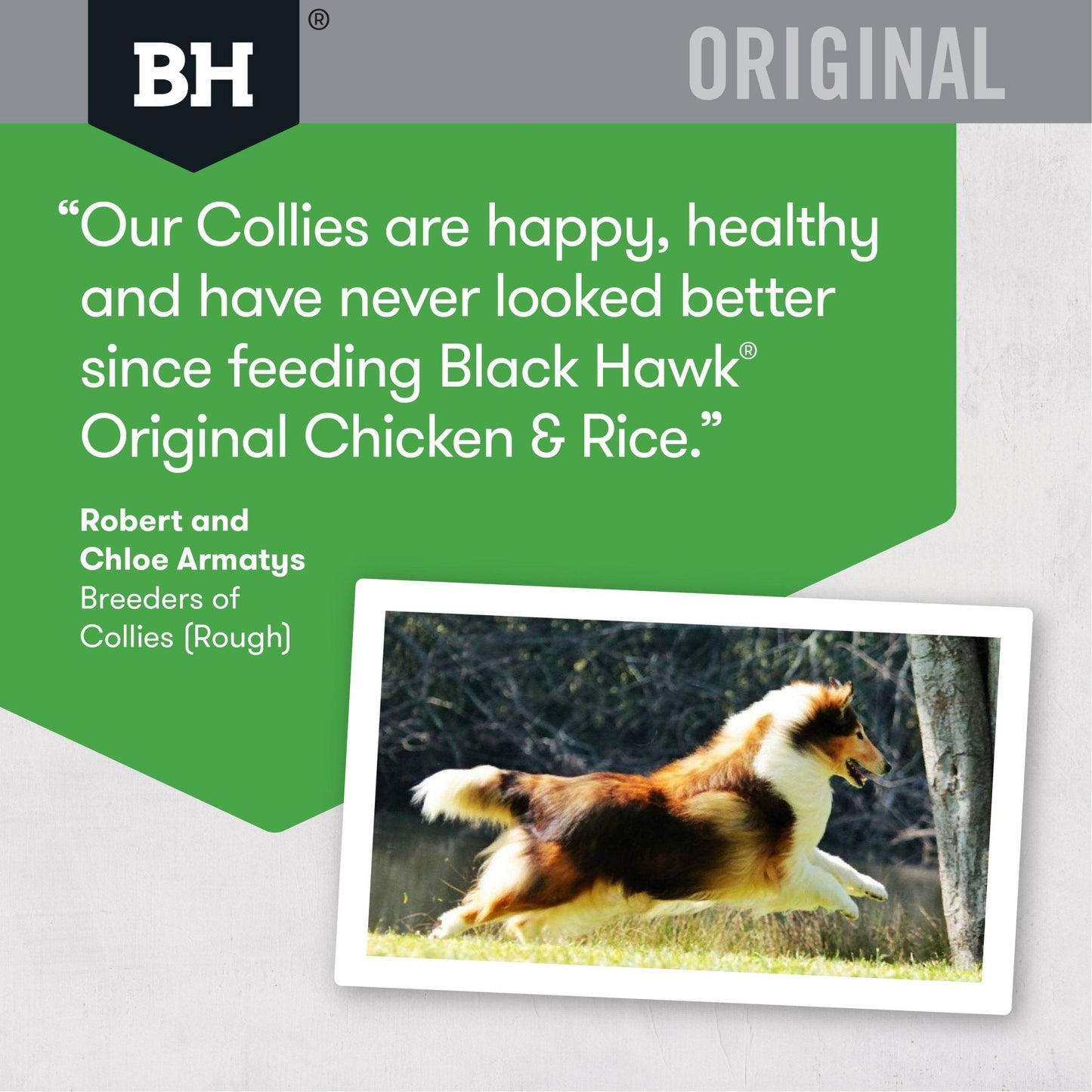 Black Hawk Dry Dog Food Adult Chicken & Rice - Woonona Petfood & Produce
