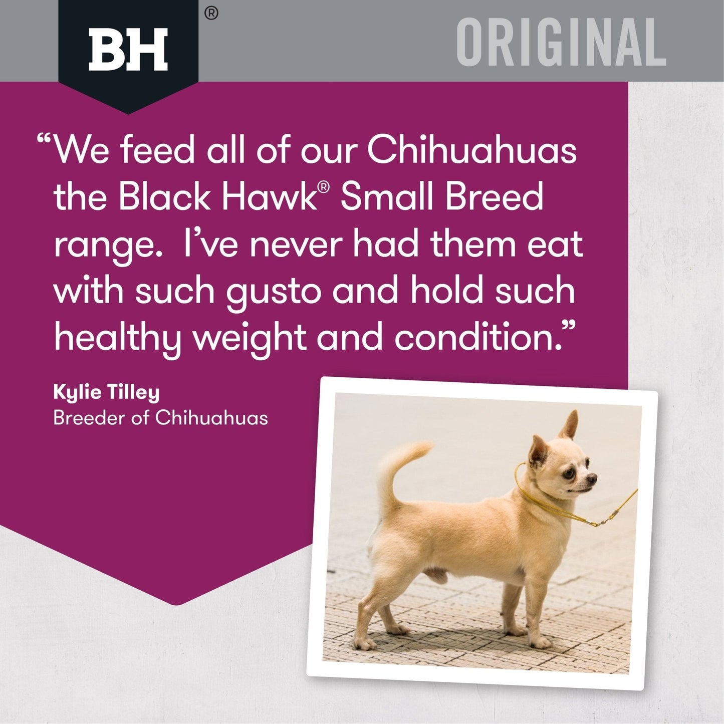 Black Hawk Dry Dog Food Adult Small Breed Lamb & Rice - Woonona Petfood & Produce
