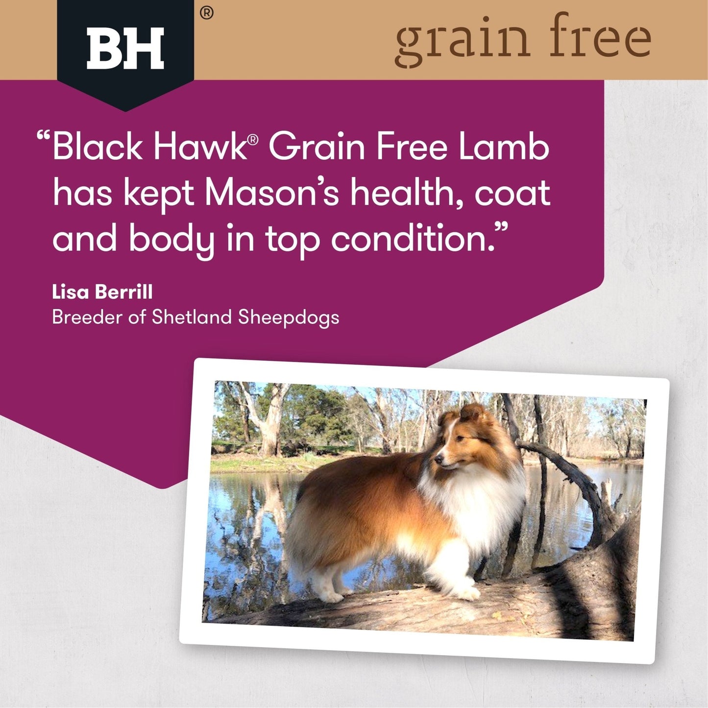 Black Hawk Grain Free Dry Dog Food Lamb - Woonona Petfood & Produce