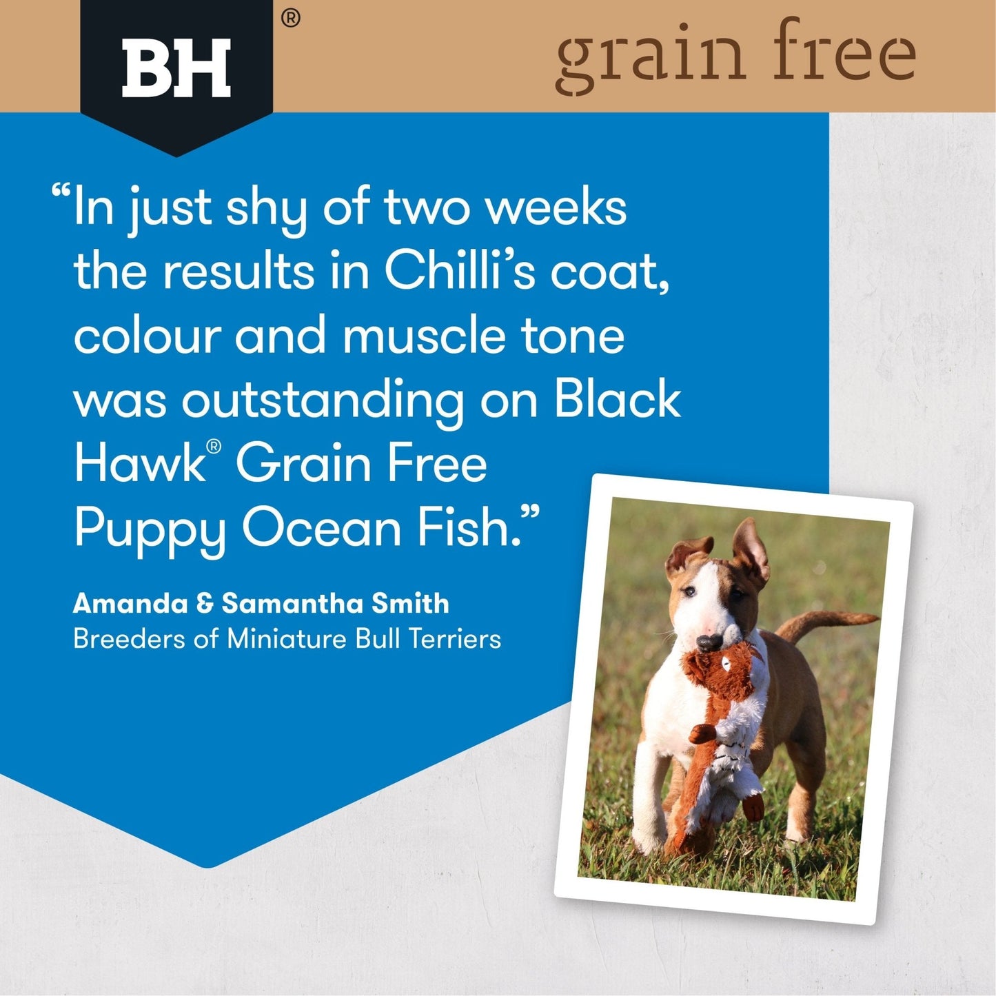 Black Hawk Grain Free Dry Dog Food Puppy Ocean Fish - Woonona Petfood & Produce