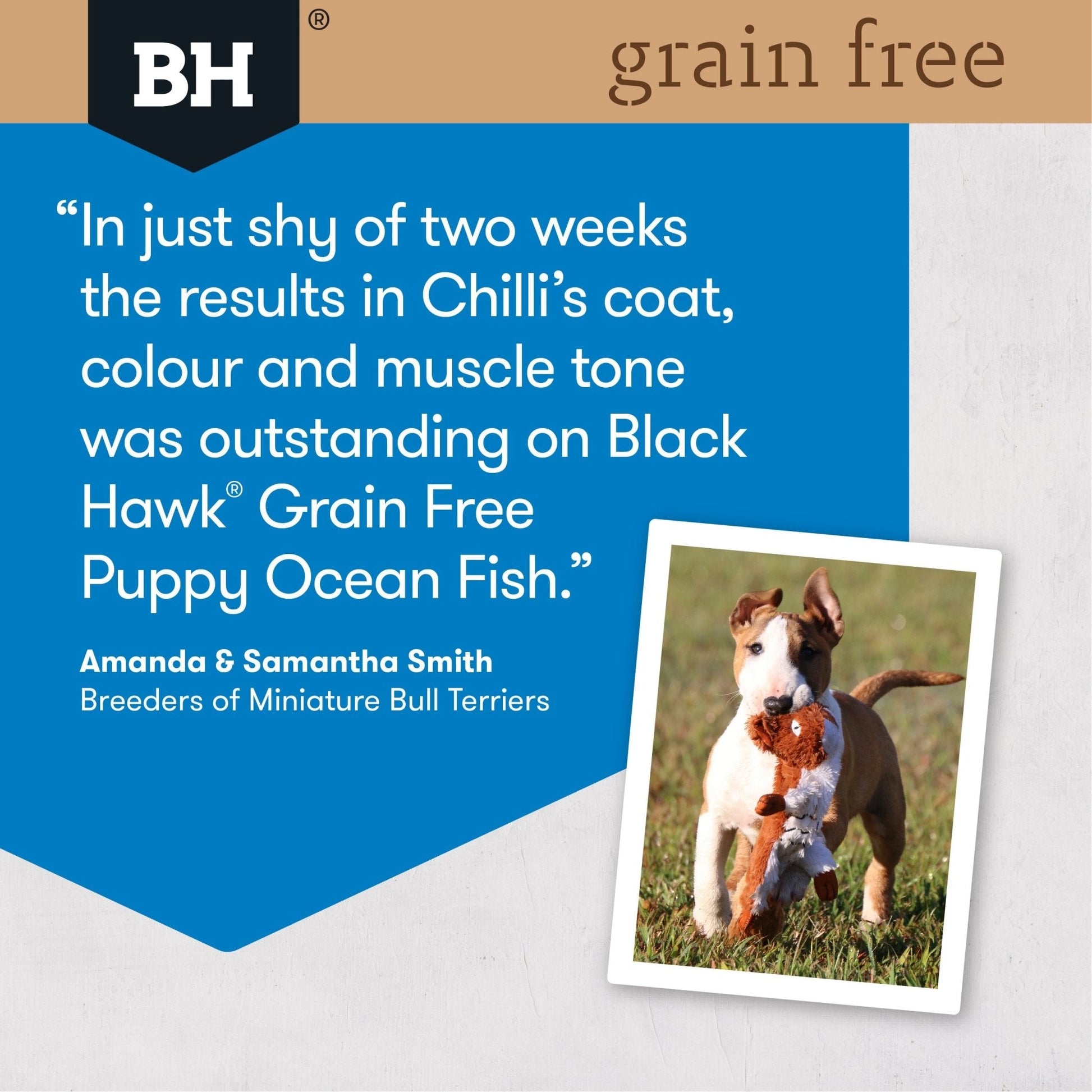 Black Hawk Grain Free Dry Dog Food Puppy Ocean Fish - Woonona Petfood & Produce