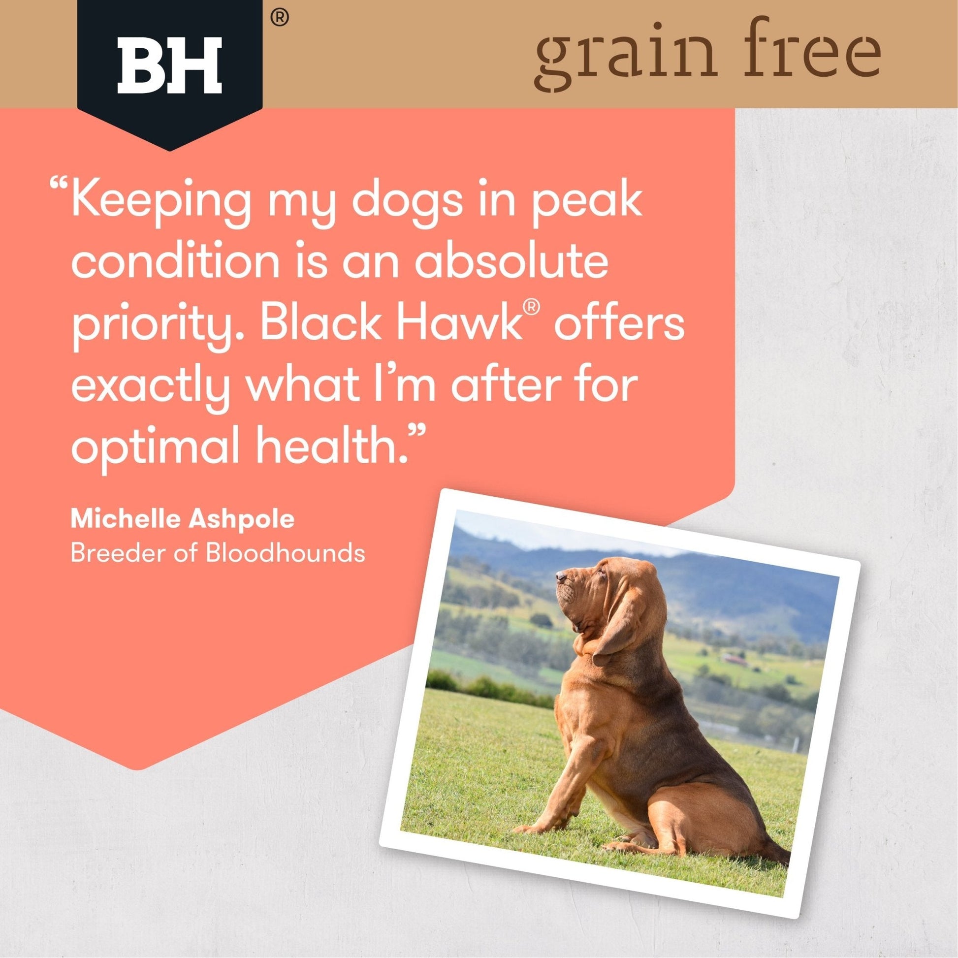 Black Hawk Grain Free Dry Dog Food Salmon - Woonona Petfood & Produce