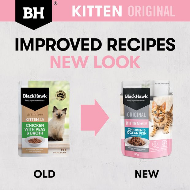 Black Hawk Wet Kitten Food Chicken and Ocean Fish 85g - Woonona Petfood & Produce