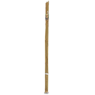 Brunnings Bamboo Cane 1.5m 10 Pack