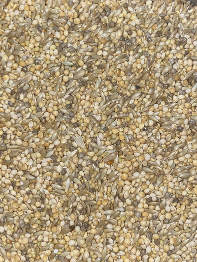 Budgie Mix Avigrain per