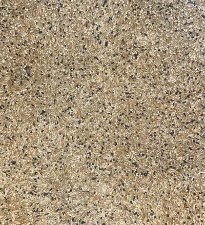 Canary Mix Avigrain per