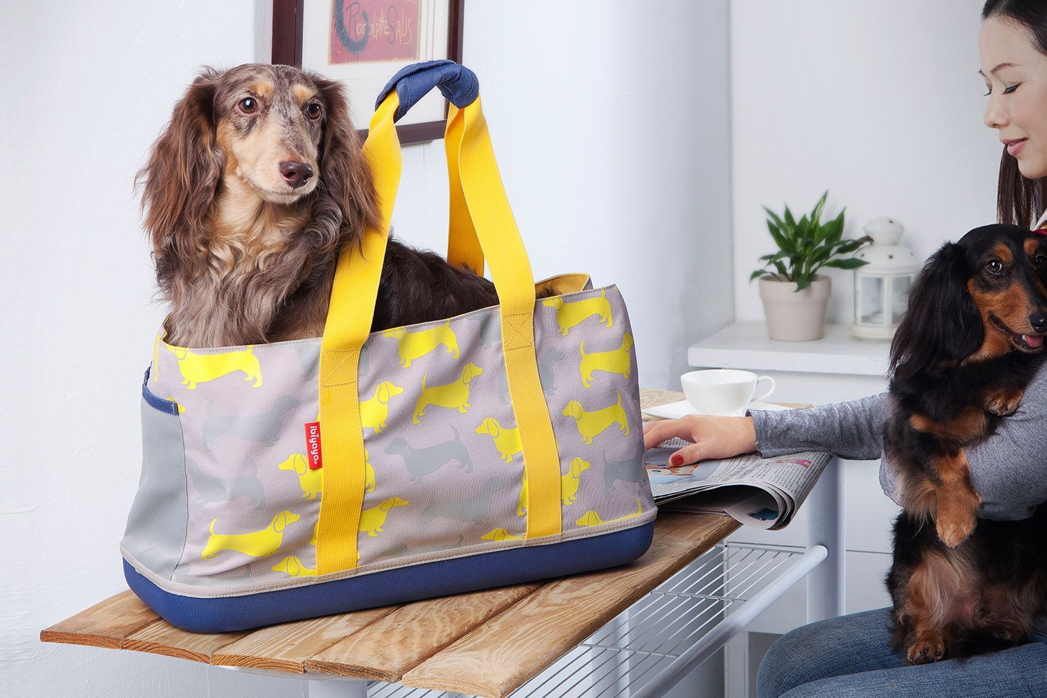 Carrier - Tote Sausage Dog Dachshunds Yellow Ibiyaya - Woonona Petfood & Produce