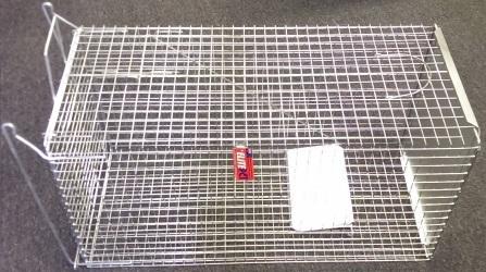 Cat Trap - Woonona Petfood & Produce
