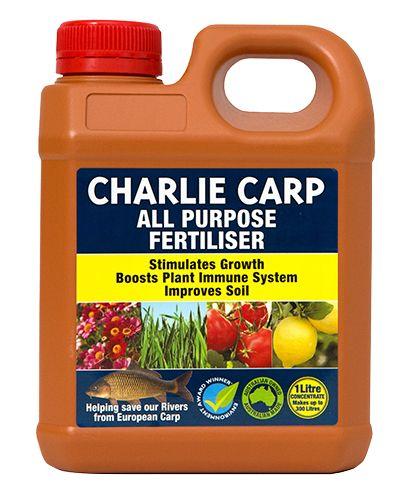Charlie Carp - Woonona Petfood & Produce