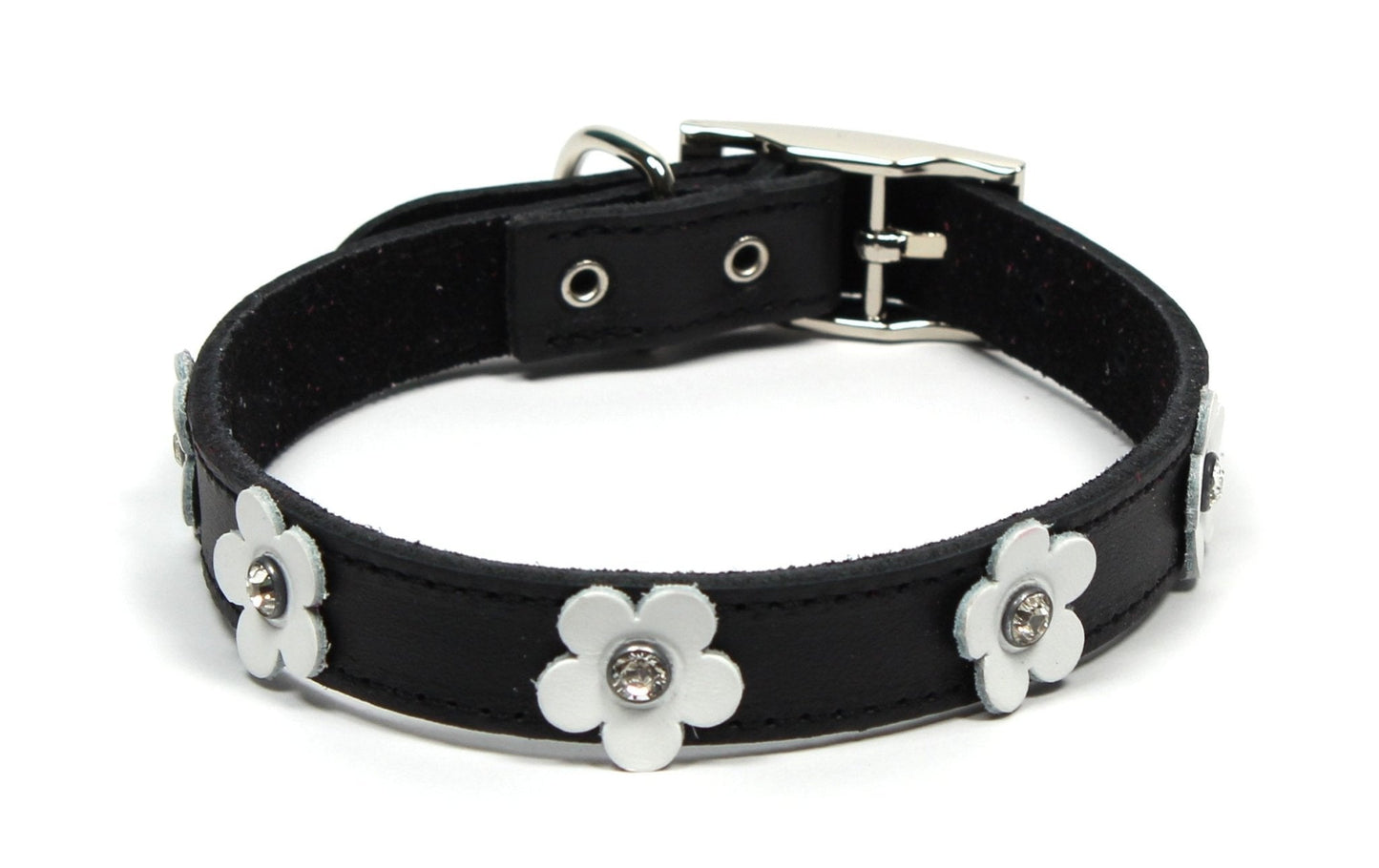 Dogue Collar Foxy Black - Woonona Petfood & Produce