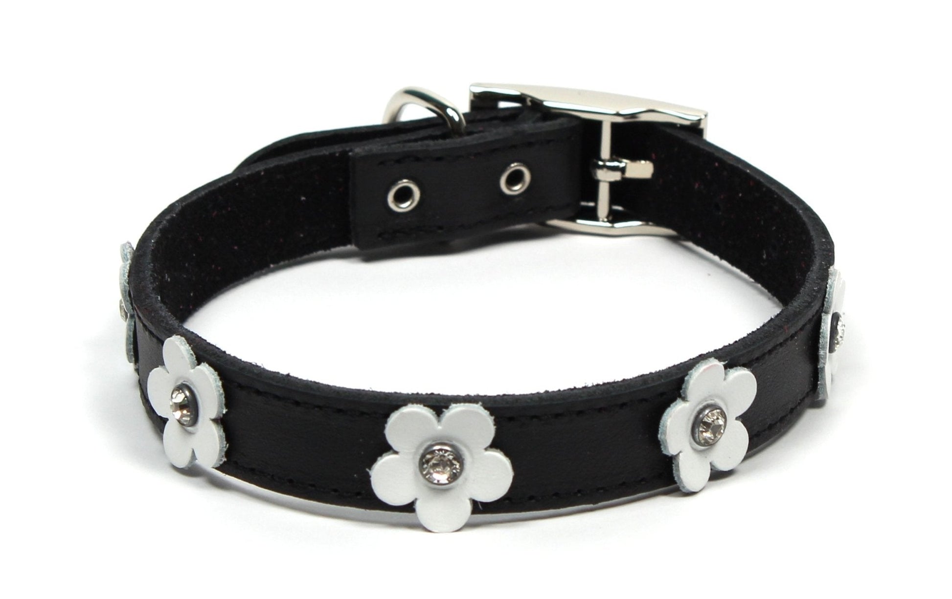 Dogue Collar Foxy Black - Woonona Petfood & Produce