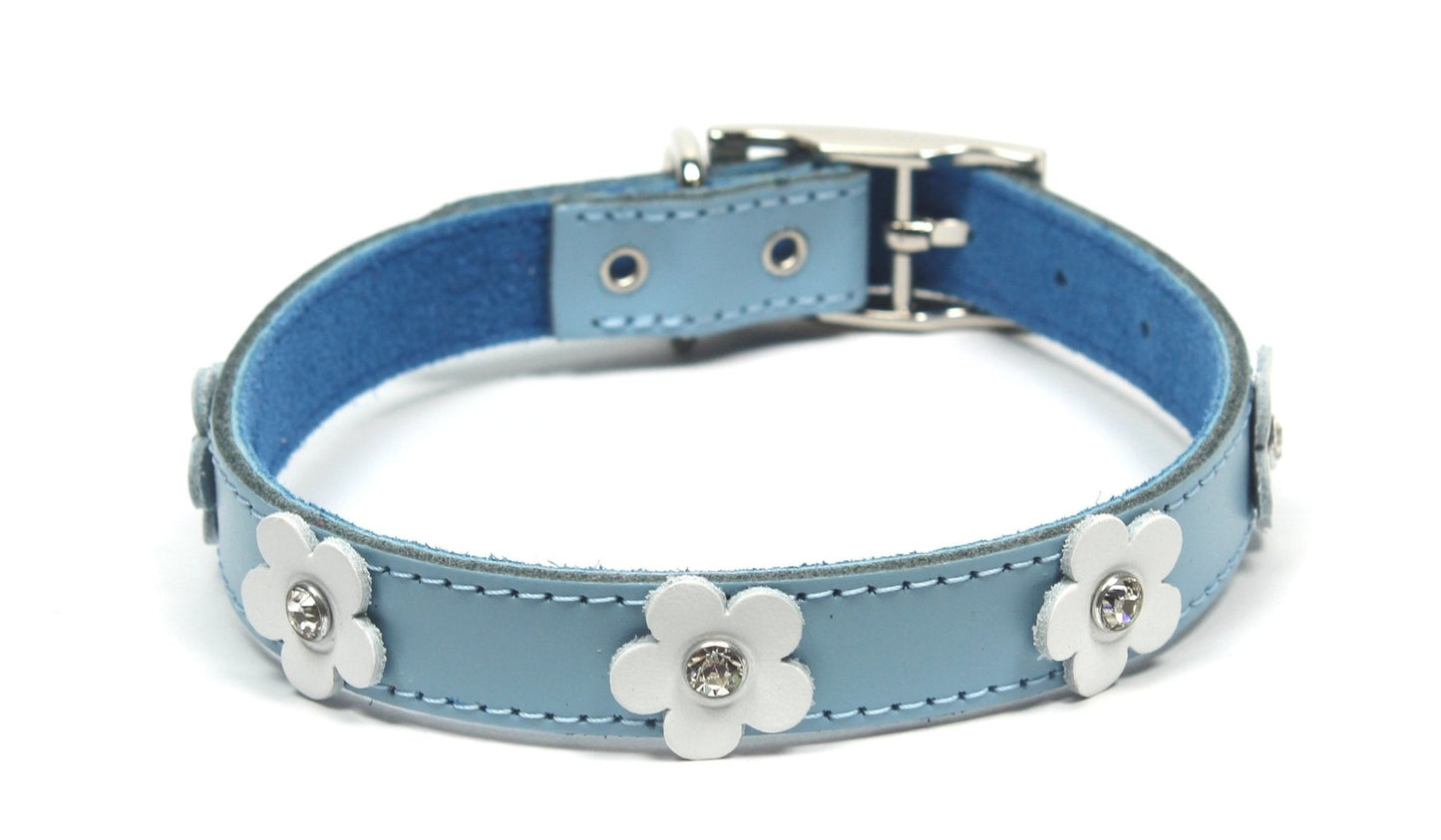 Dogue Collar Foxy Blue - Woonona Petfood & Produce