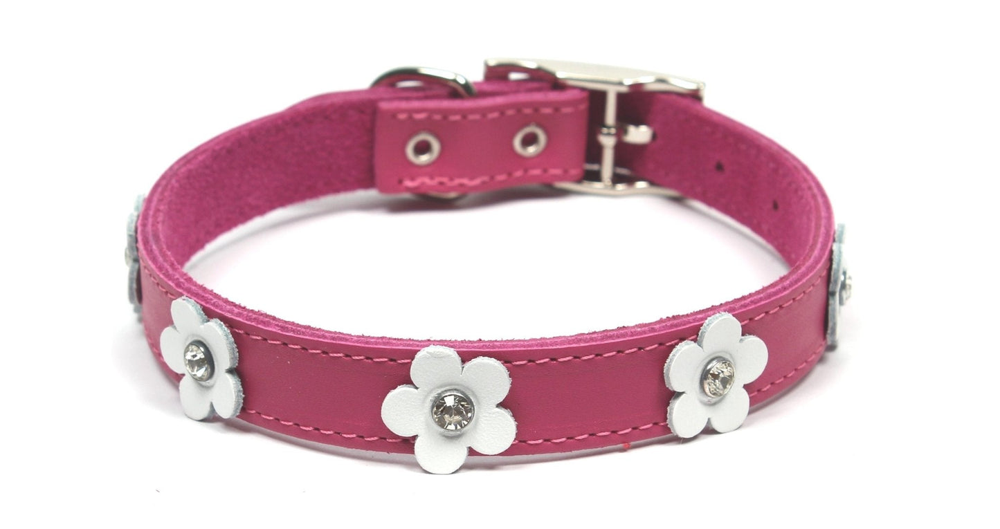 Dogue Collar Foxy Fuschia - Woonona Petfood & Produce
