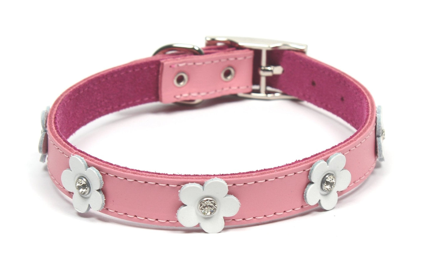 Dogue Collar Foxy Pink - Woonona Petfood & Produce