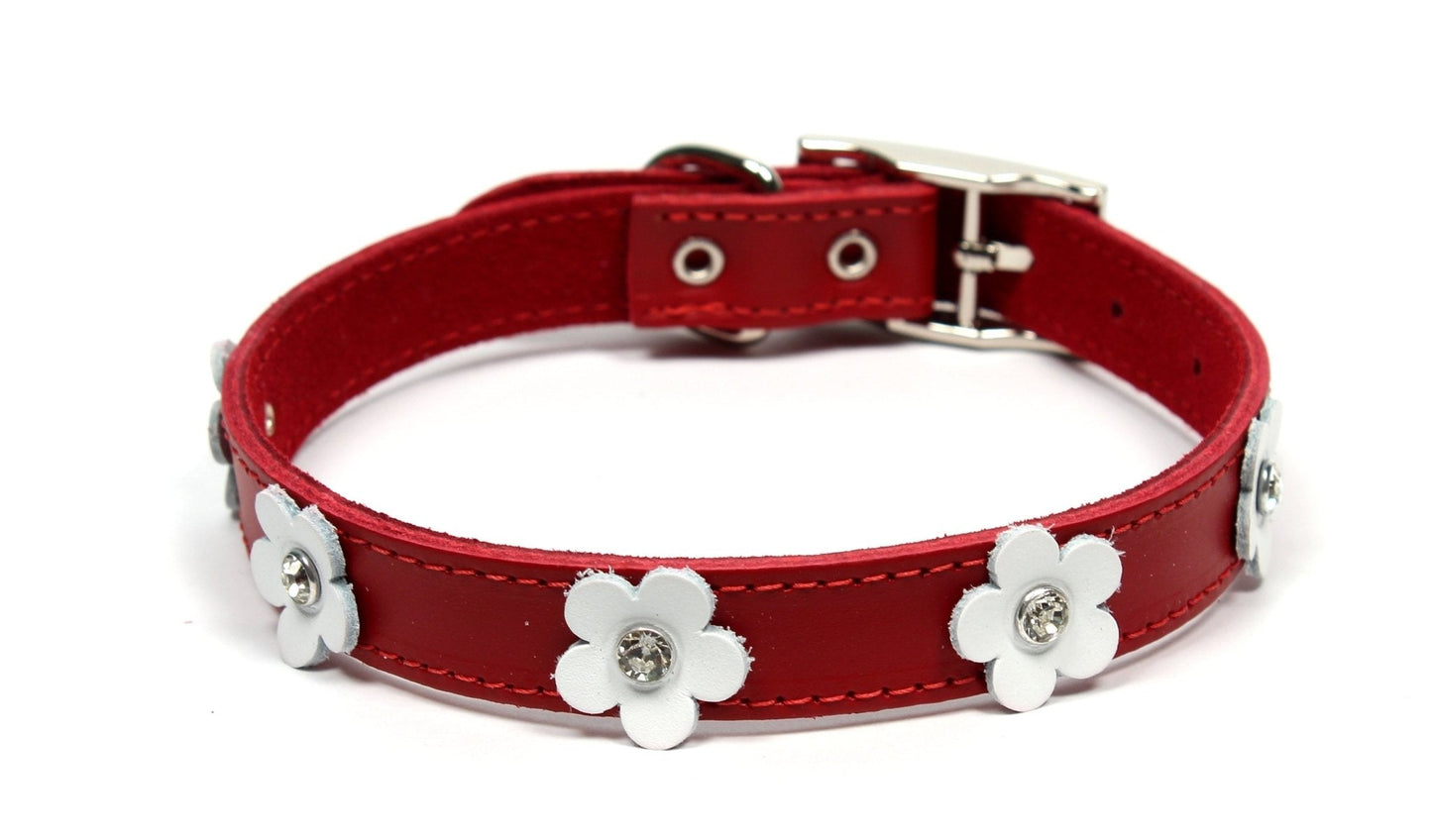 Dogue Collar Foxy Red - Woonona Petfood & Produce