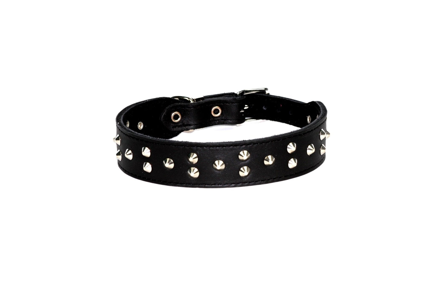 Dogue Collar Stud Muffin Black - Woonona Petfood & Produce