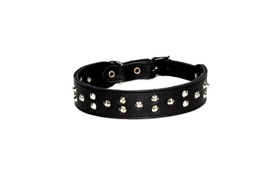Dogue Collar Stud Muffin Black