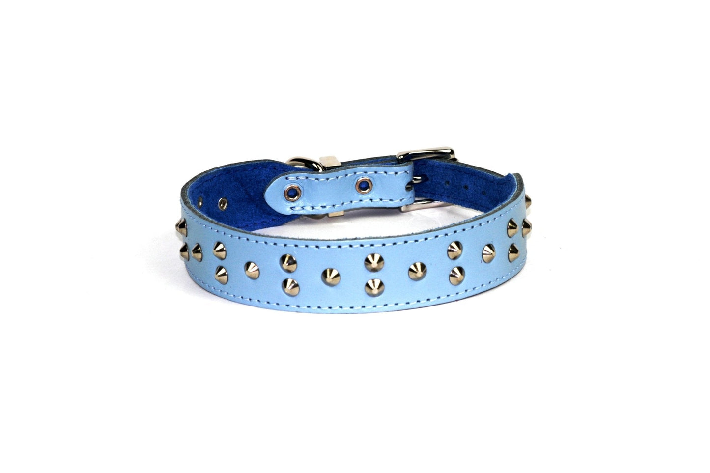 Dogue Collar Stud Muffin Blue - Woonona Petfood & Produce