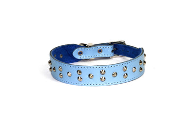 Dogue Collar Stud Muffin Blue