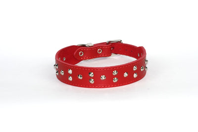 Dogue Collar Stud Muffin Red