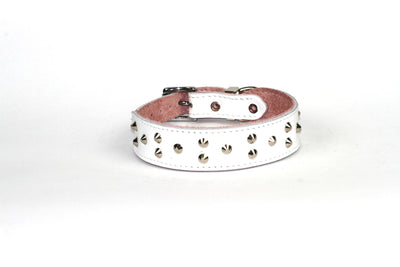Dogue Collar Stud Muffin White