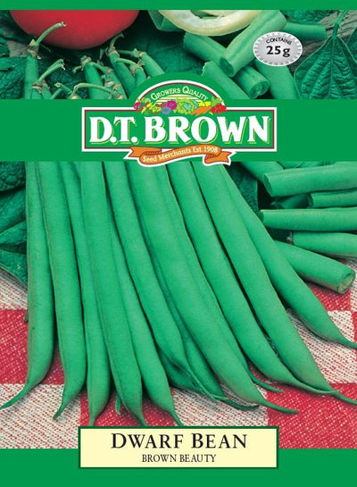 DT Brown Dwarf Bean Brown Beauty