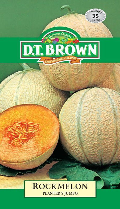 DT Brown Rockmelon Planter Jumbo