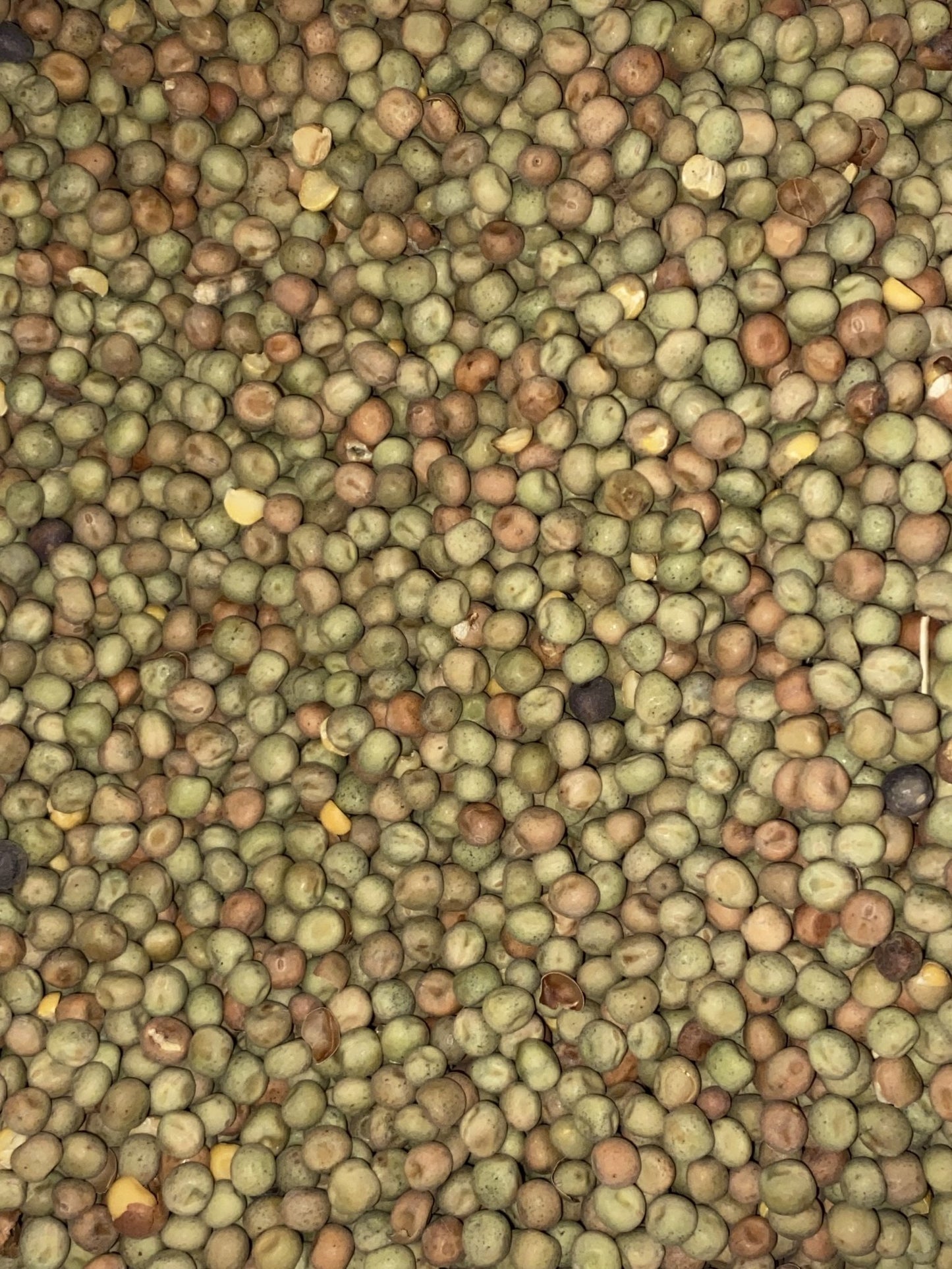 Dunn Peas - Woonona Petfood & Produce