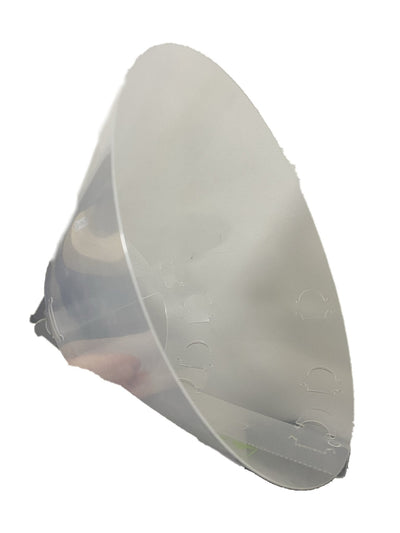 Elizabethan Collar
