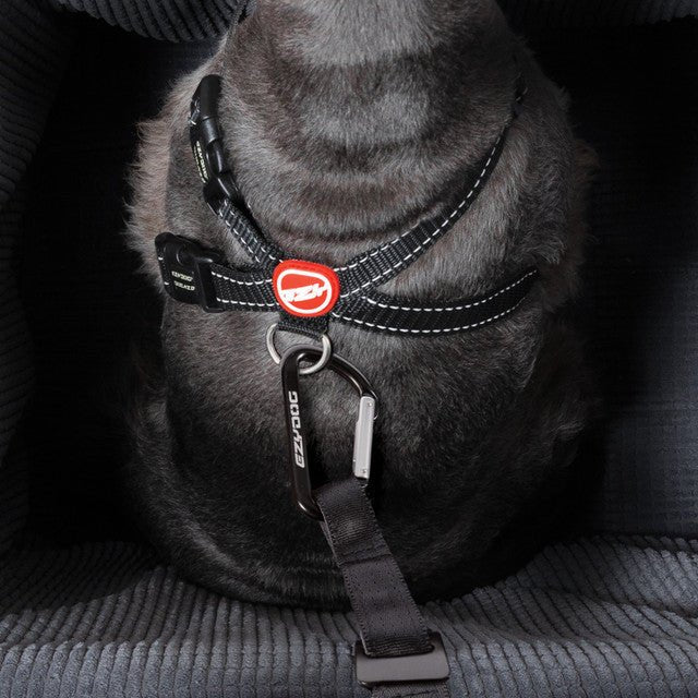 Ezydog Drive Booster Seat Charcoal - Woonona Petfood & Produce