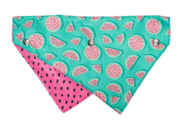 Fuzzyard Bandana - Summer Punch - Woonona Petfood & Produce