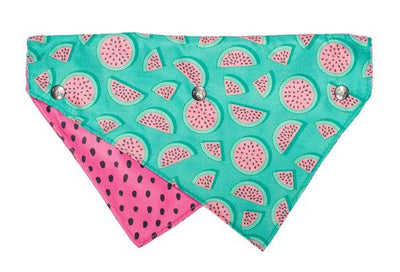 Fuzzyard Bandana - Summer Punch