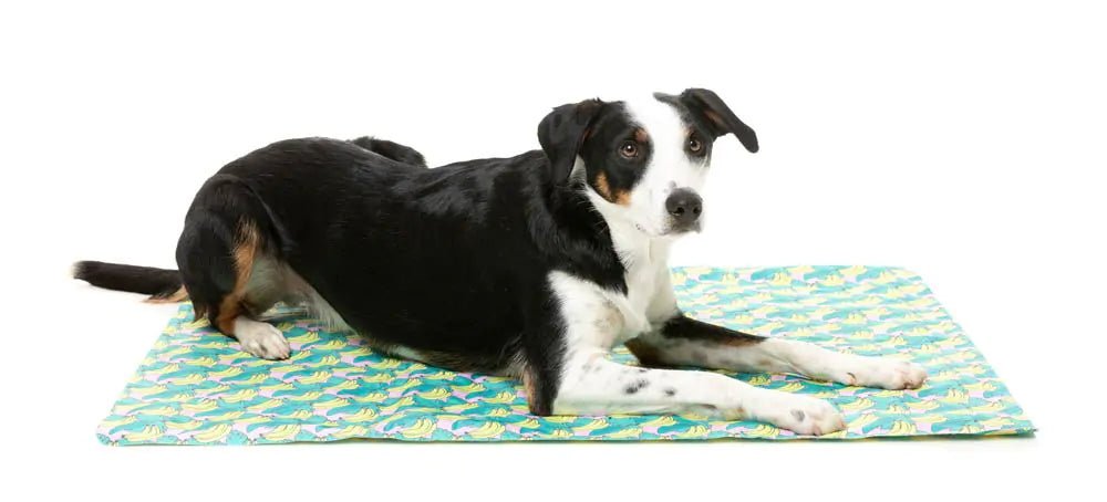 Fuzzyard Cooling Mat 2.0 Bananarama Extra Large - Woonona Petfood & Produce