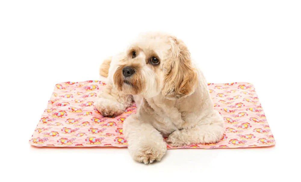 Fuzzyard Cooling Mat 2.0 Two Cans - Woonona Petfood & Produce