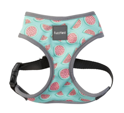 Fuzzyard Summer Punch Dog Harness