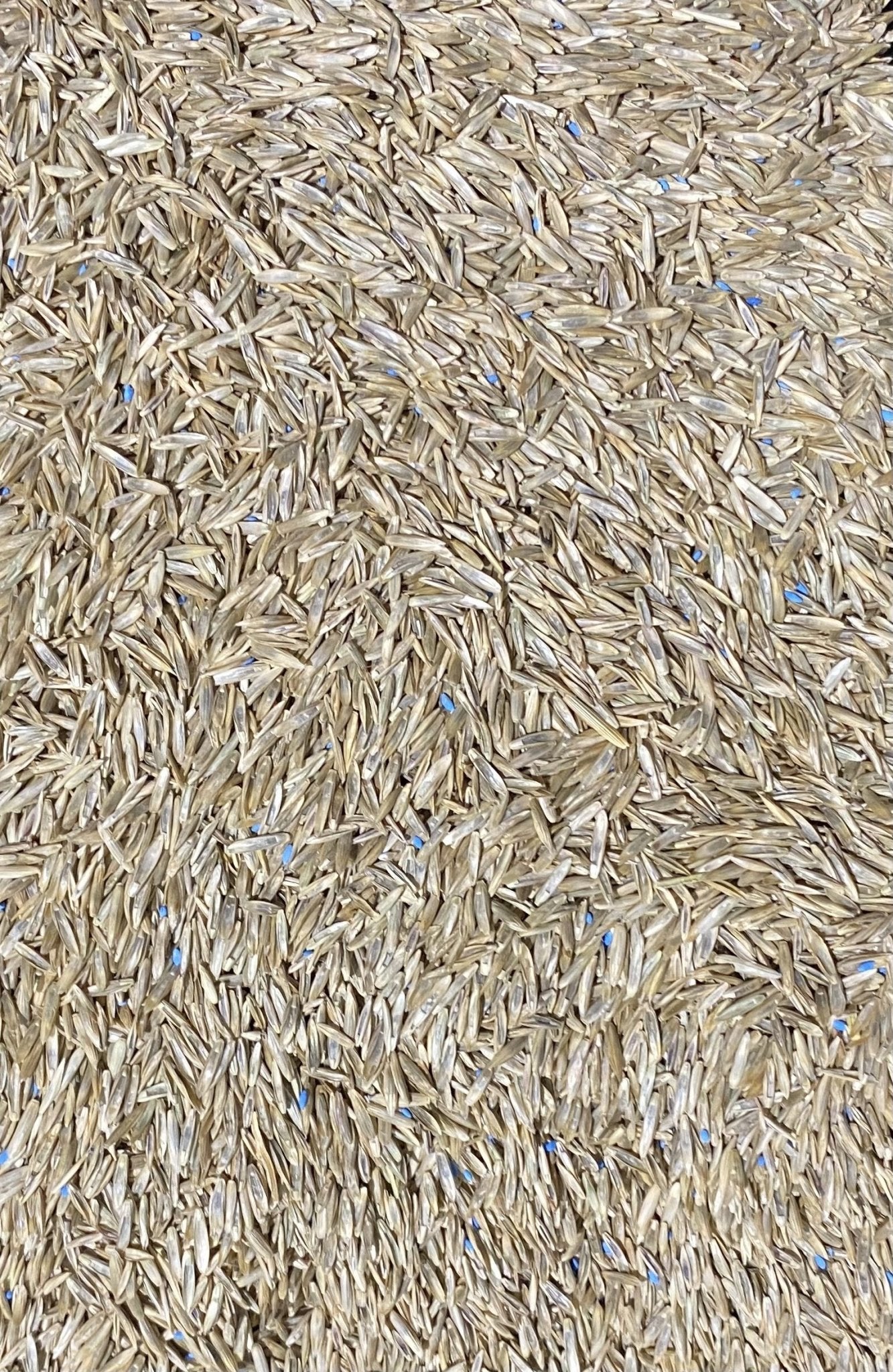 Grass Seed Parklands Mix - Woonona Petfood & Produce