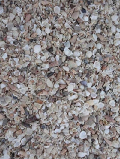 Grit Medium per