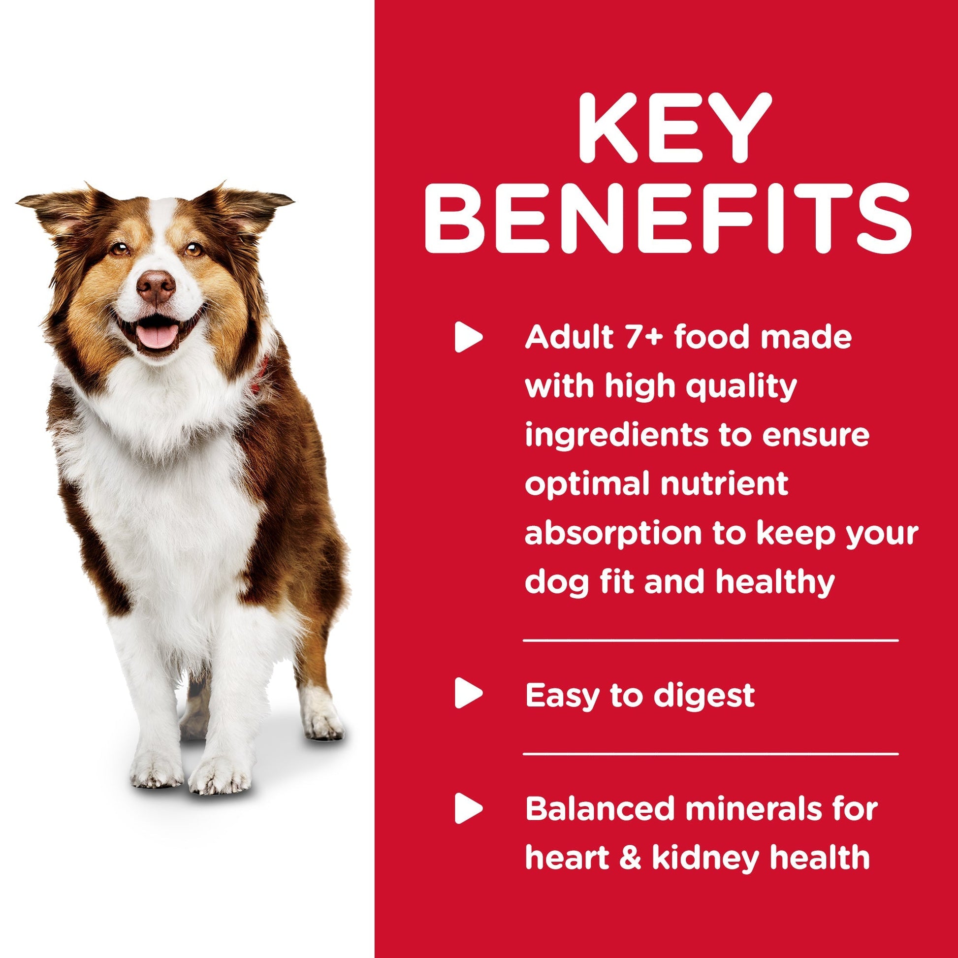 Hill's Science Diet Adult 7+ Savory Stew Beef & Vegetable Canned Dog Food 12x363g - Woonona Petfood & Produce