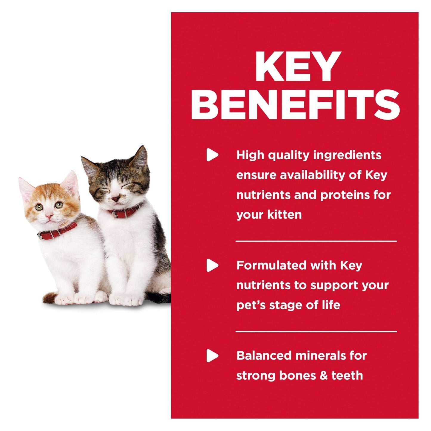 Hill's Science Diet Kitten Tender Dinners Chicken Canned Cat Food 156g - Woonona Petfood & Produce
