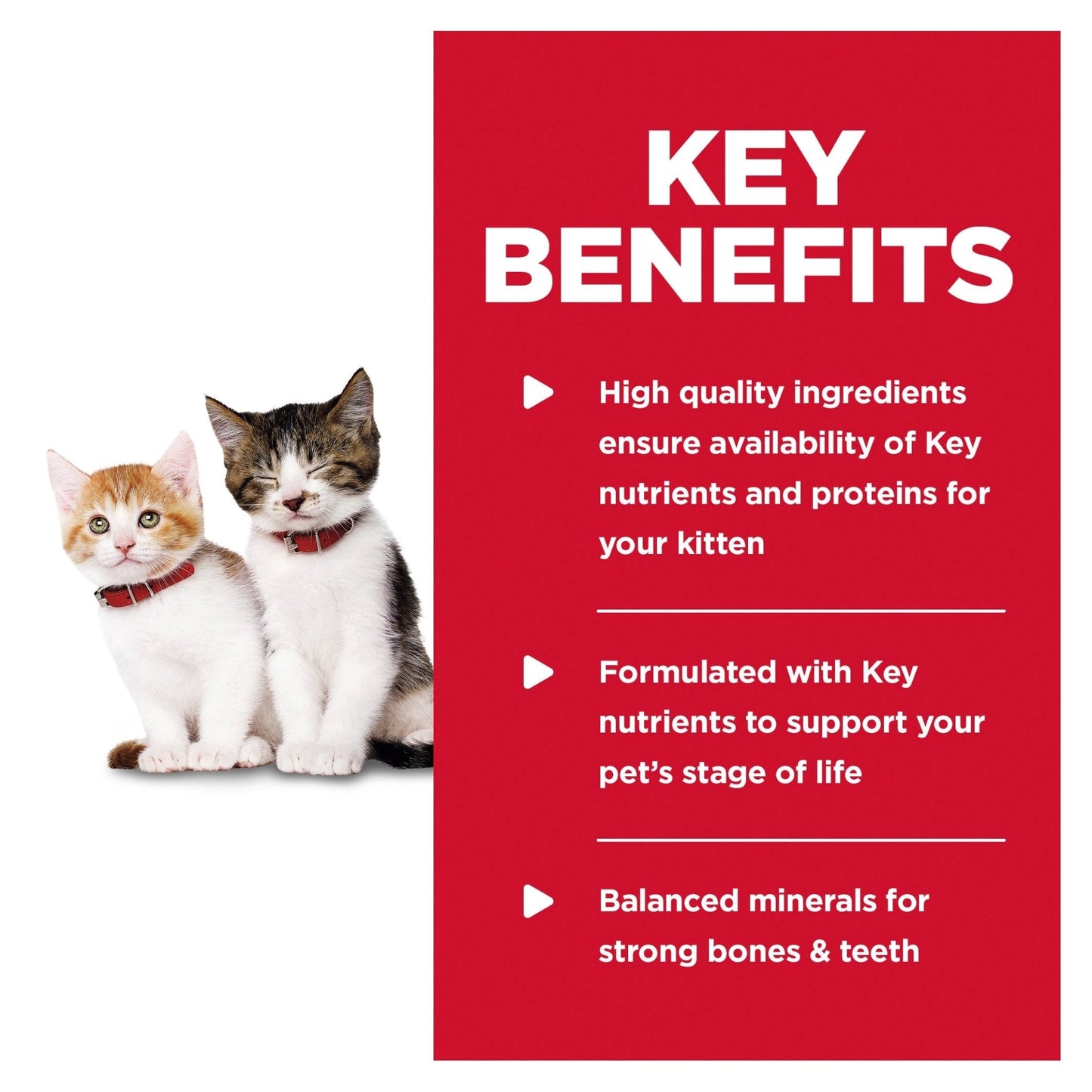 Hill's Science Diet Kitten Tender Dinners Chicken Canned Cat Food 24x156g - Woonona Petfood & Produce