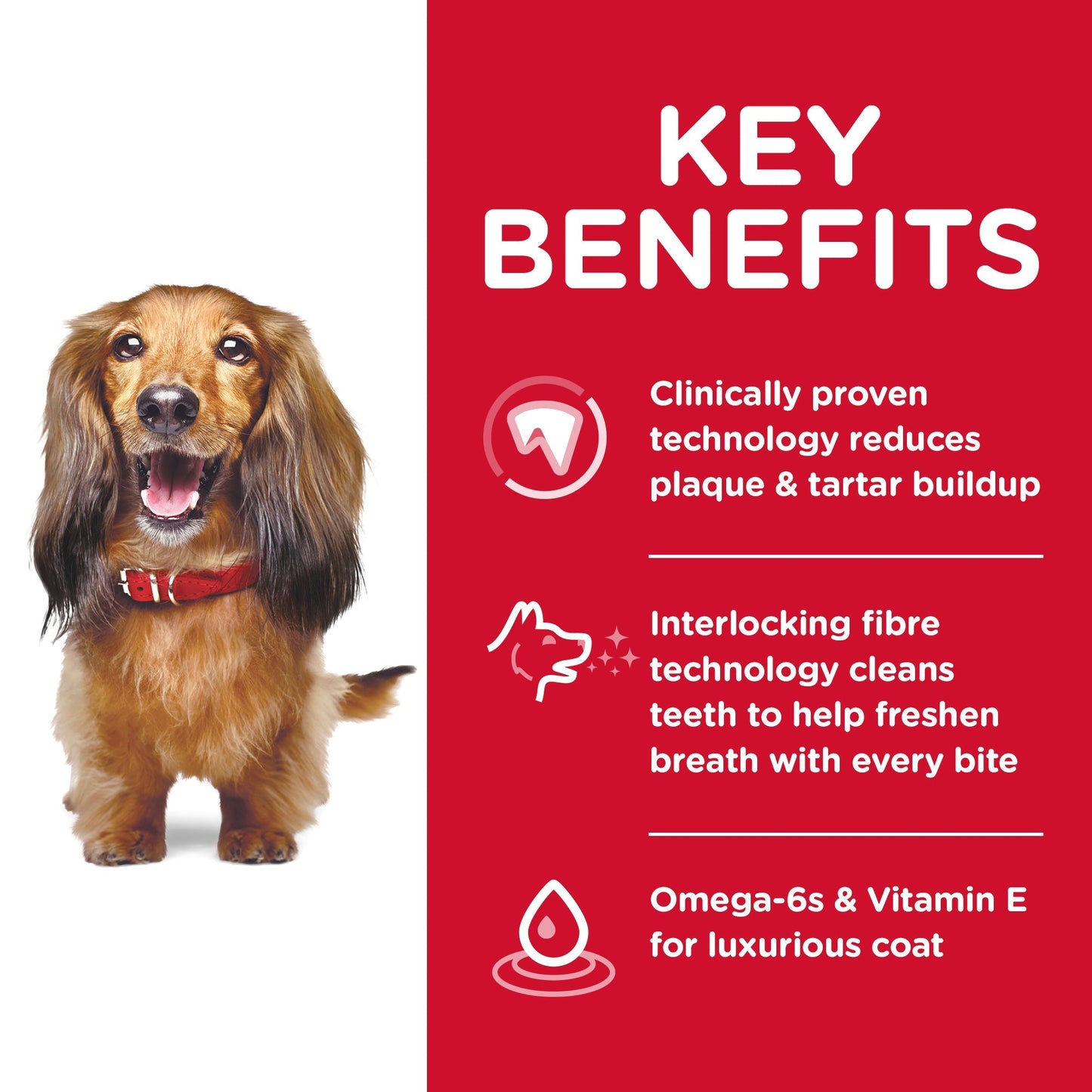 Hill's Science Diet Oral Care Adult Dry Dog Food - Woonona Petfood & Produce