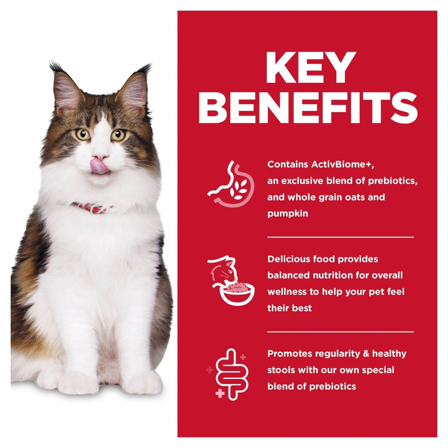 Hill's Science Diet Perfect Digestion Adult Dry Cat Food - Woonona Petfoods