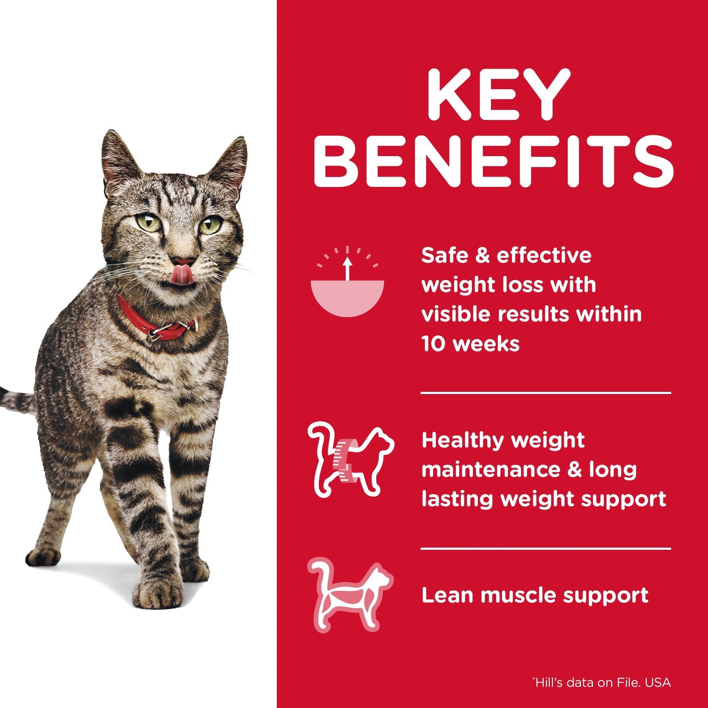 Hill's Science Diet Perfect Weight Adult Dry Cat Food - Woonona Petfood & Produce