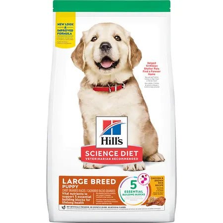 Hills large 2025 breed puppy review